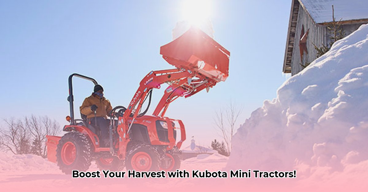 kubota-mini-tractors